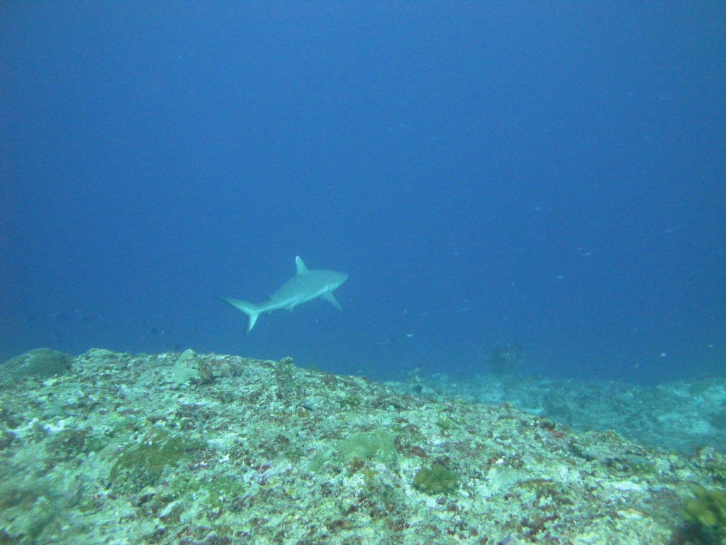DSC01556.JPG