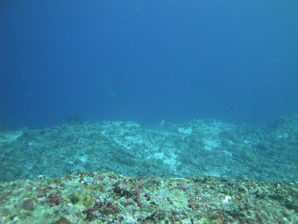 DSC01564.JPG