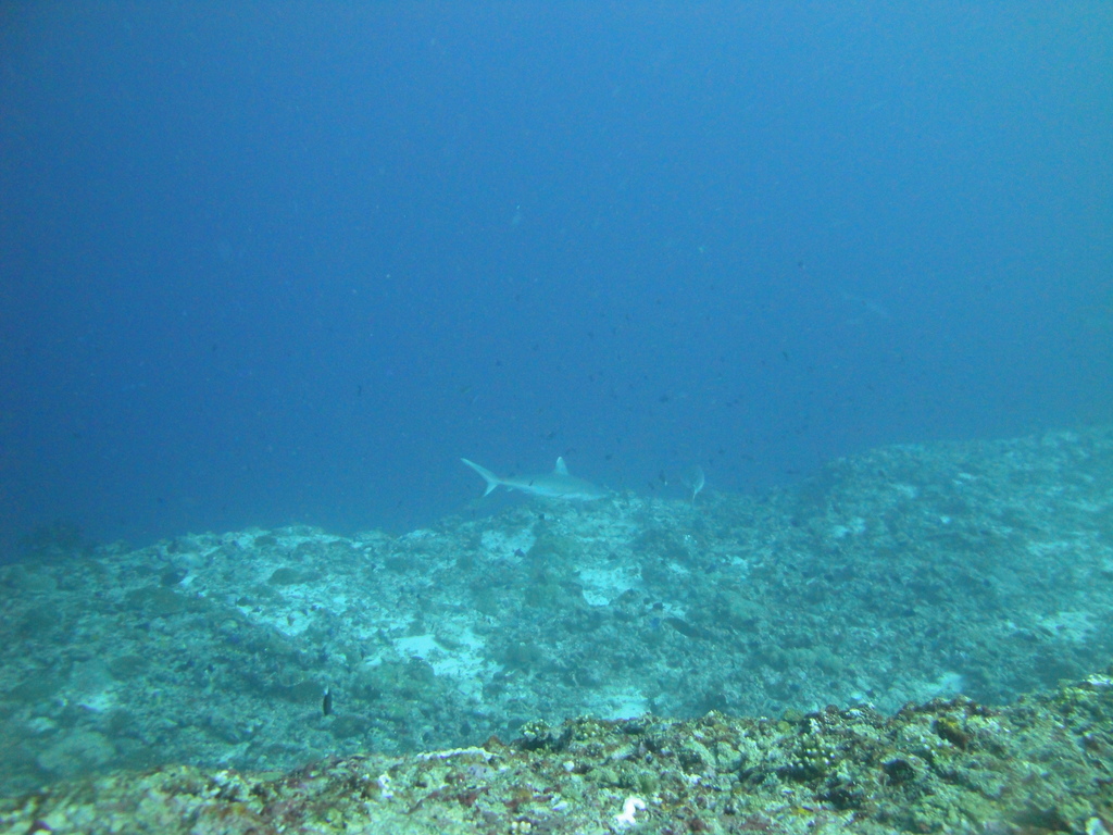 DSC01568.JPG