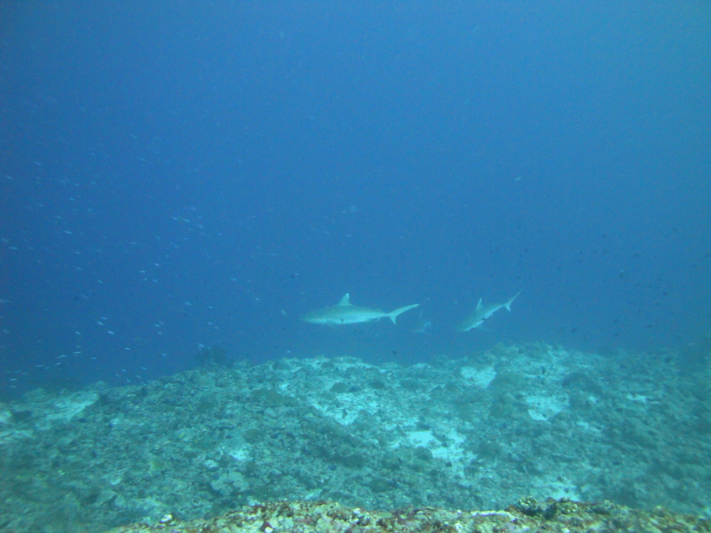 DSC01575.JPG