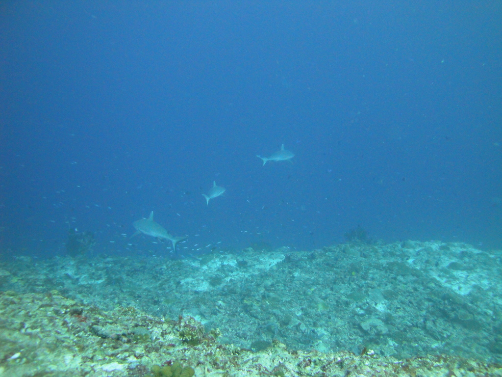 DSC01577.JPG