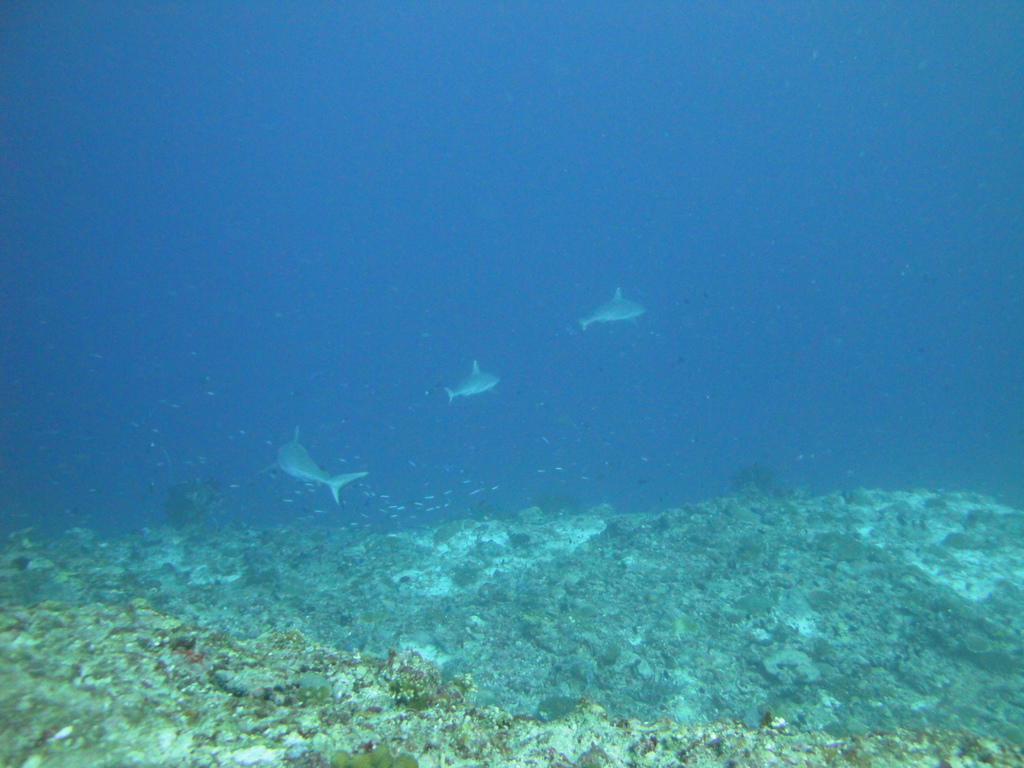 DSC01578.JPG