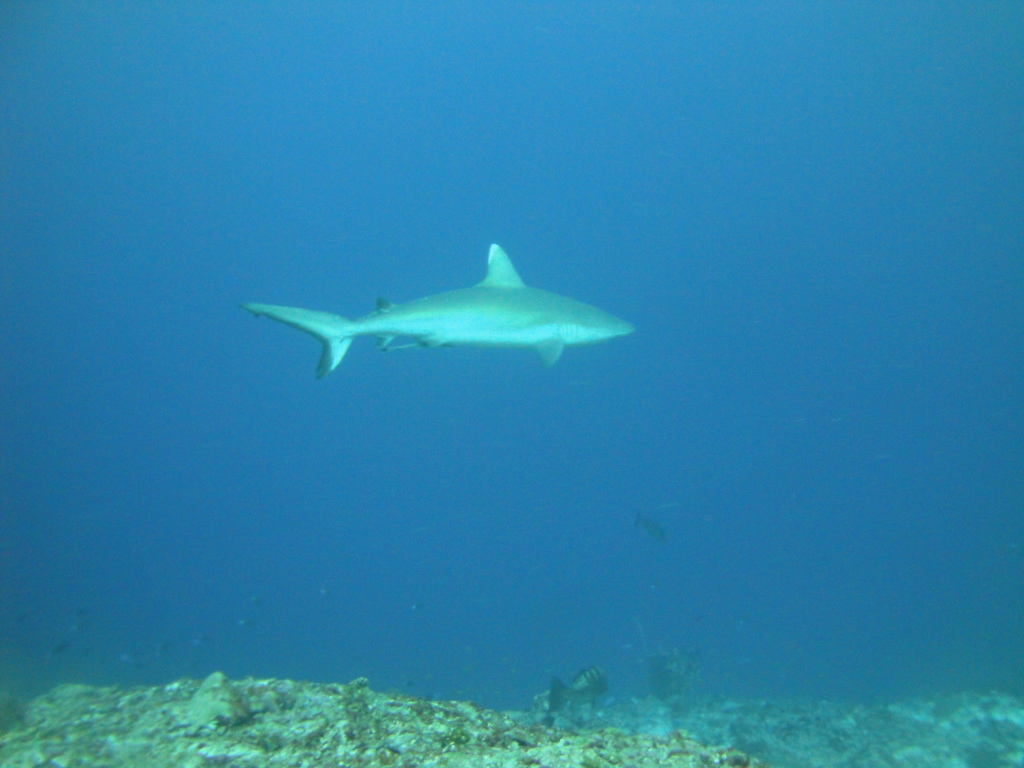 DSC01586.JPG