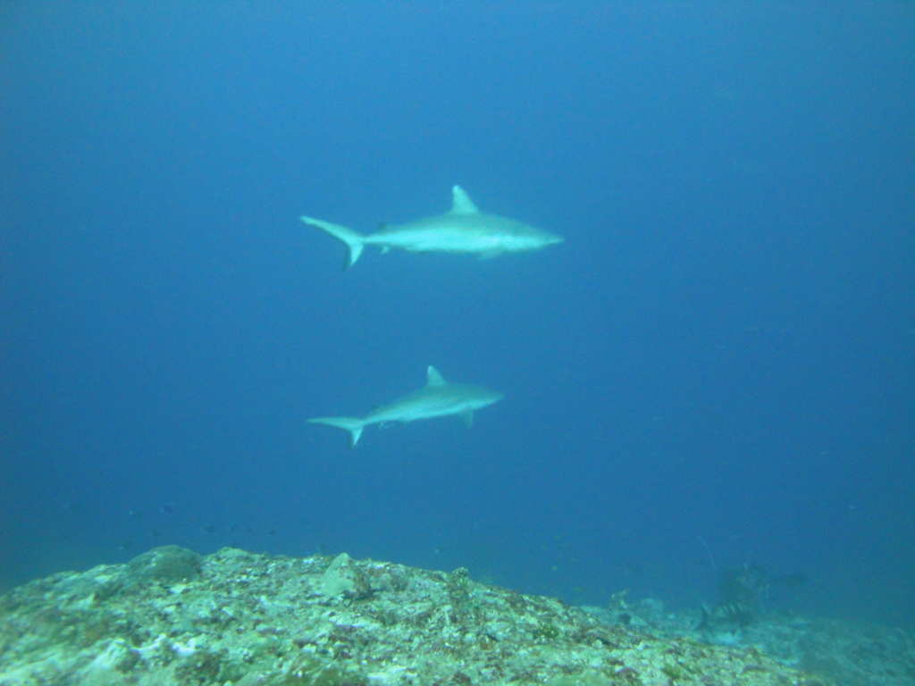 DSC01590.JPG