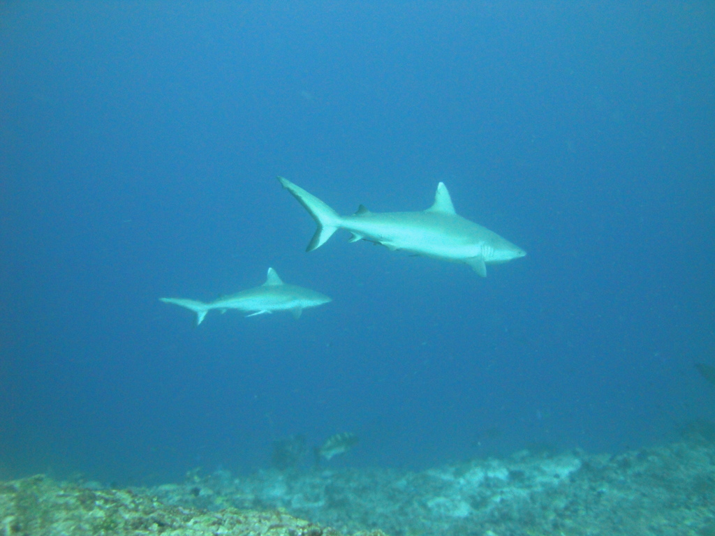DSC01591.JPG