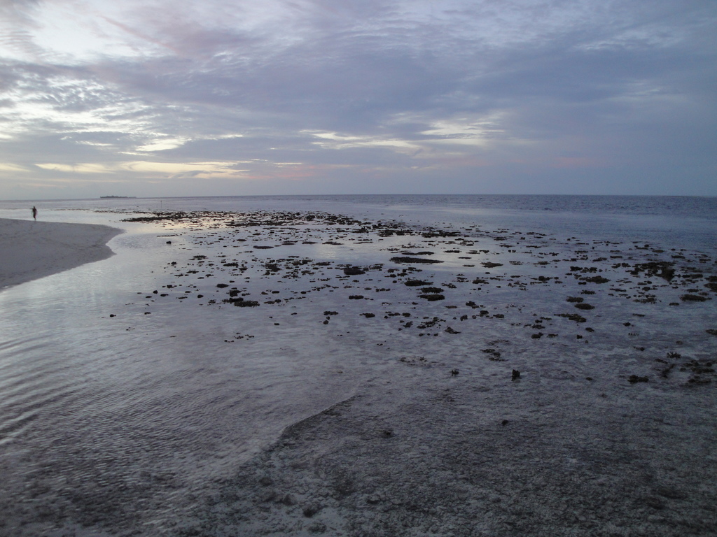 DSC01593.JPG