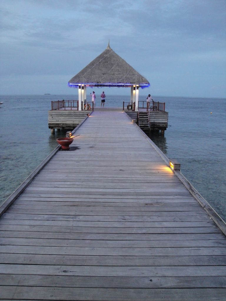 DSC01594.JPG