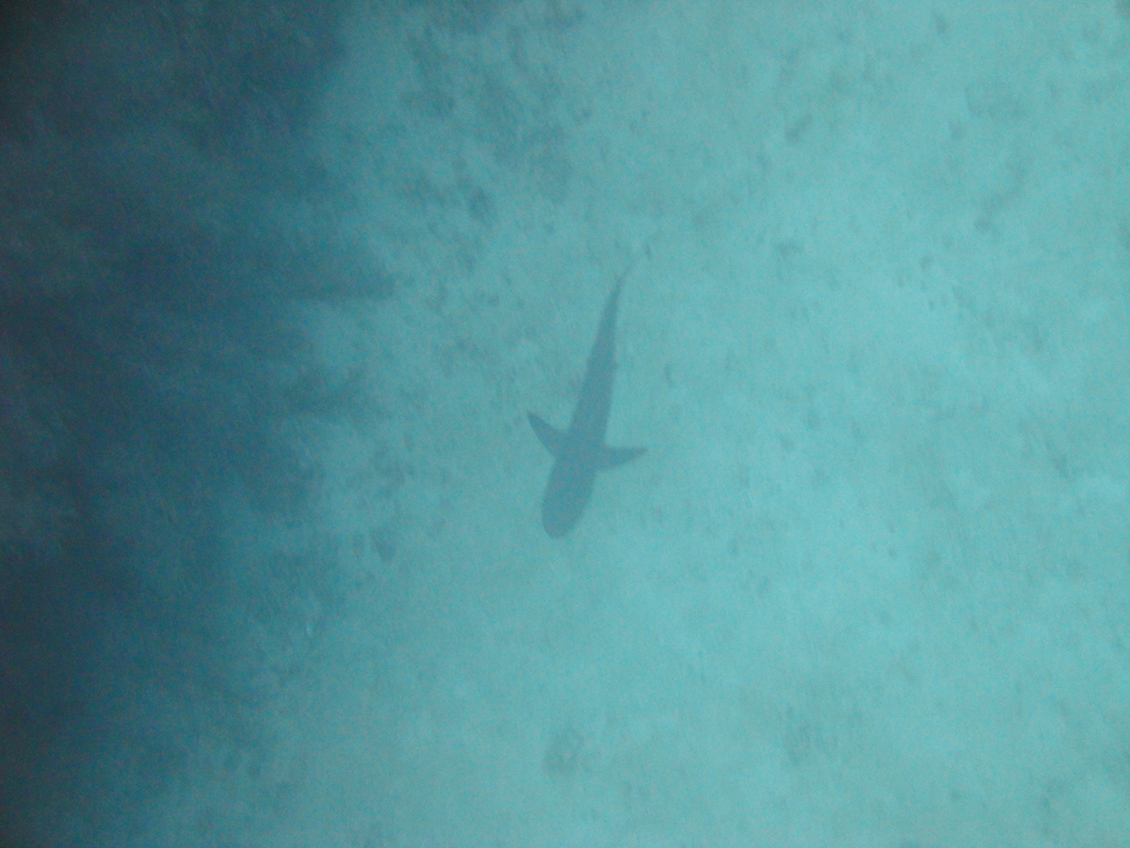 DSC01603.JPG