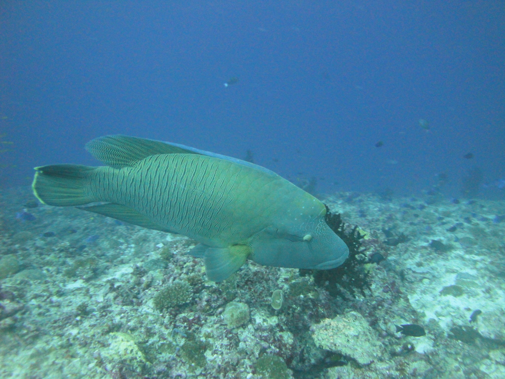DSC01605.JPG