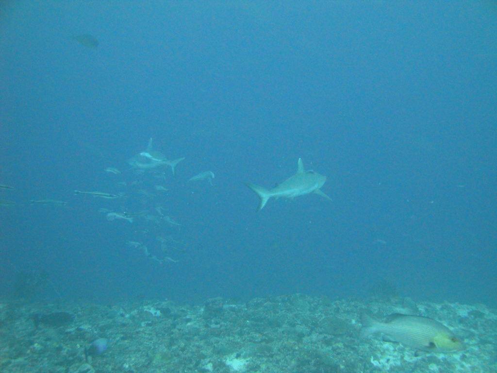 DSC01613.JPG