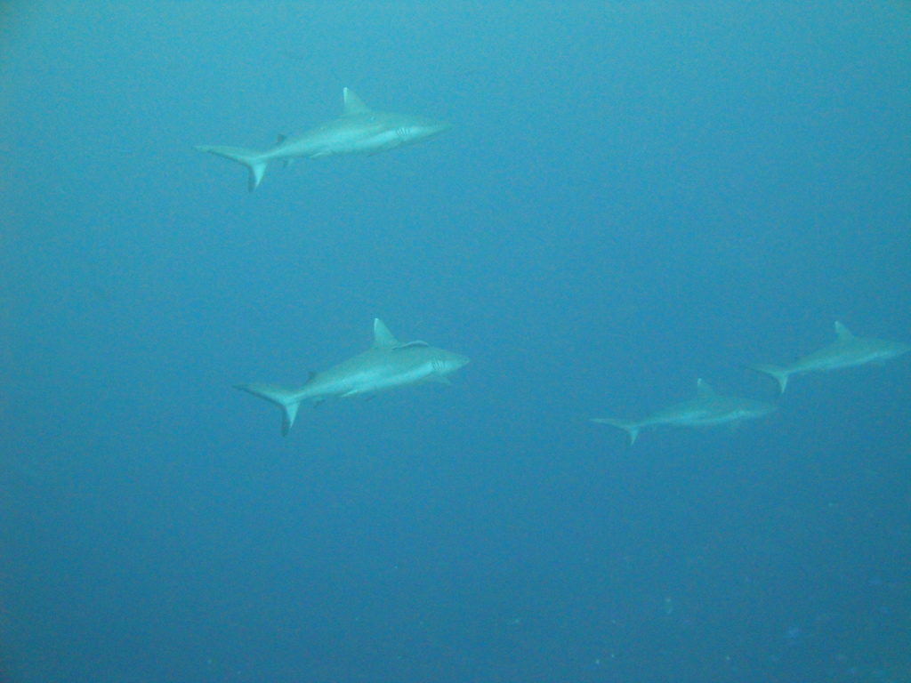 DSC01614.JPG