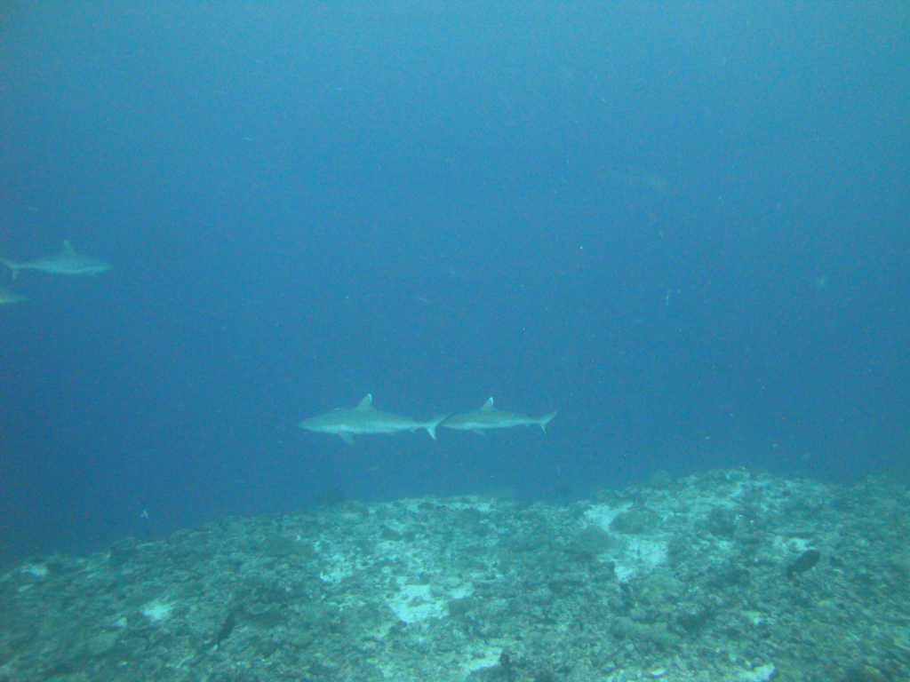 DSC01619.JPG
