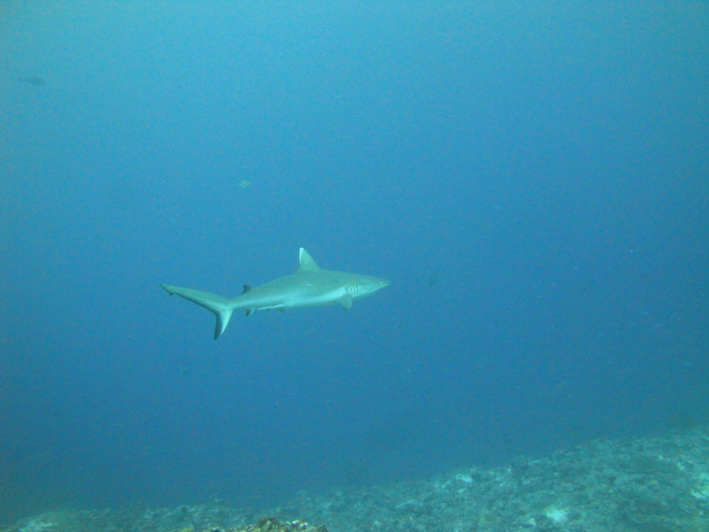 DSC01623.JPG