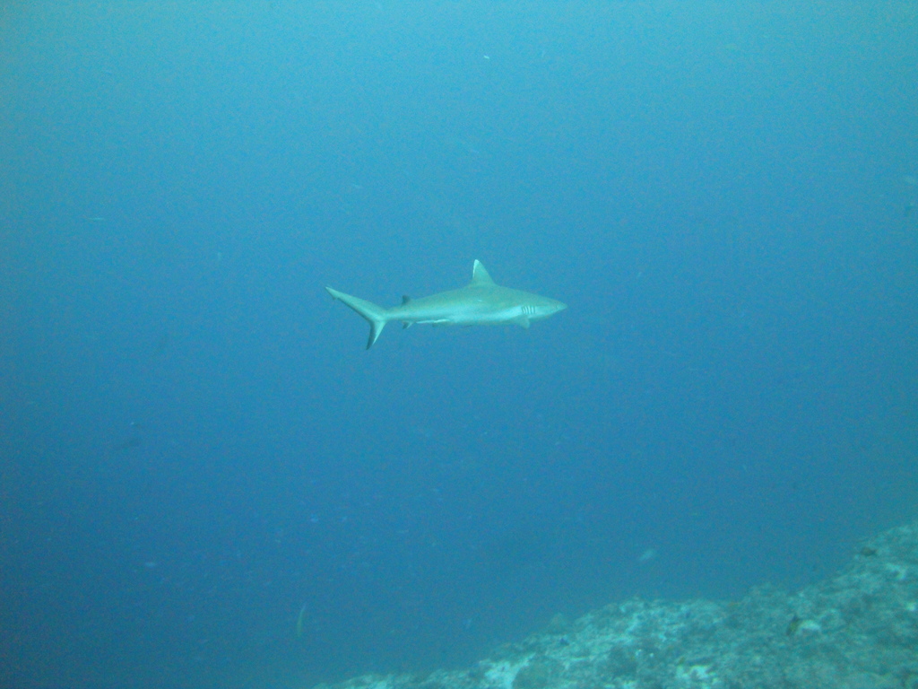 DSC01624.JPG