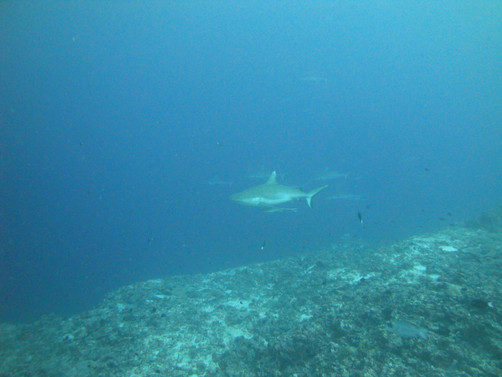 DSC01625.JPG
