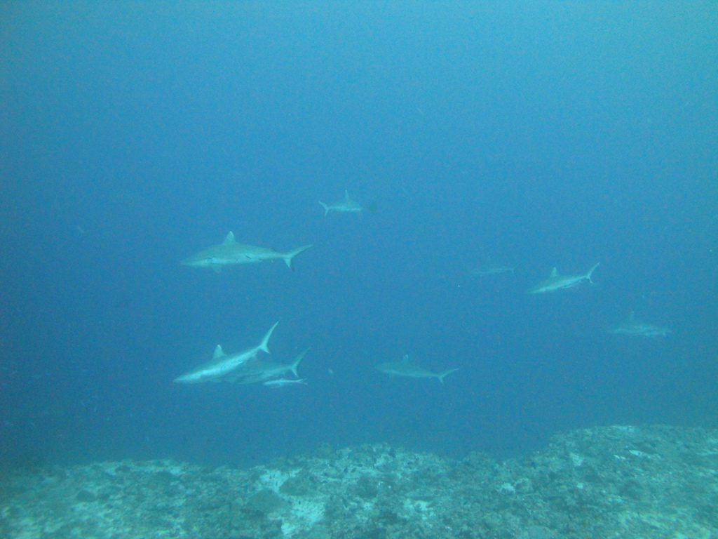 DSC01631.JPG