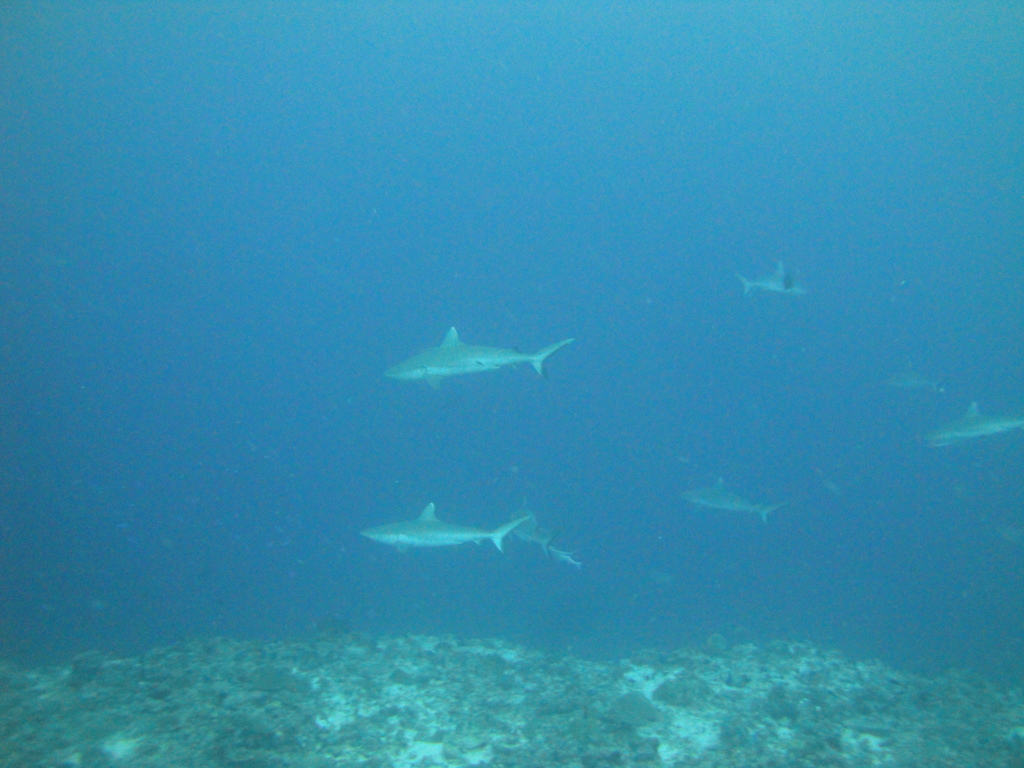 DSC01633.JPG