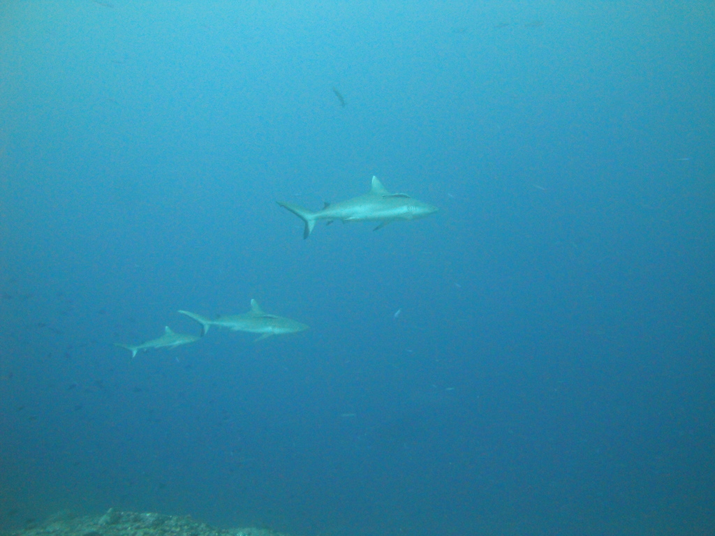 DSC01636.JPG