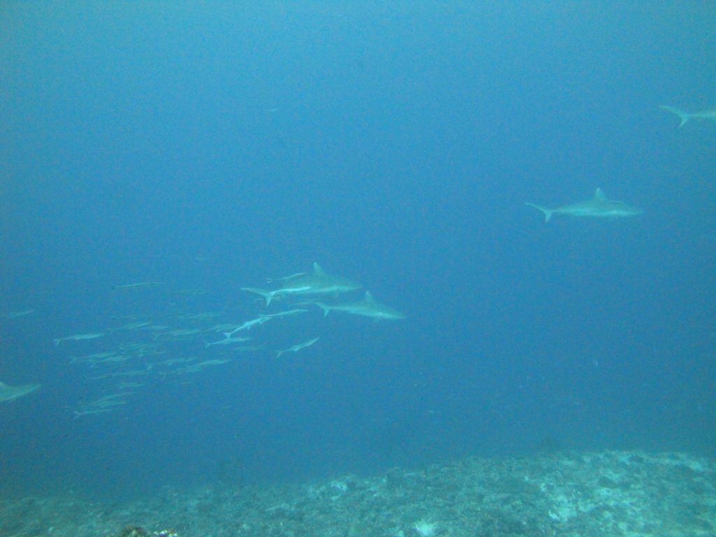 DSC01646.JPG