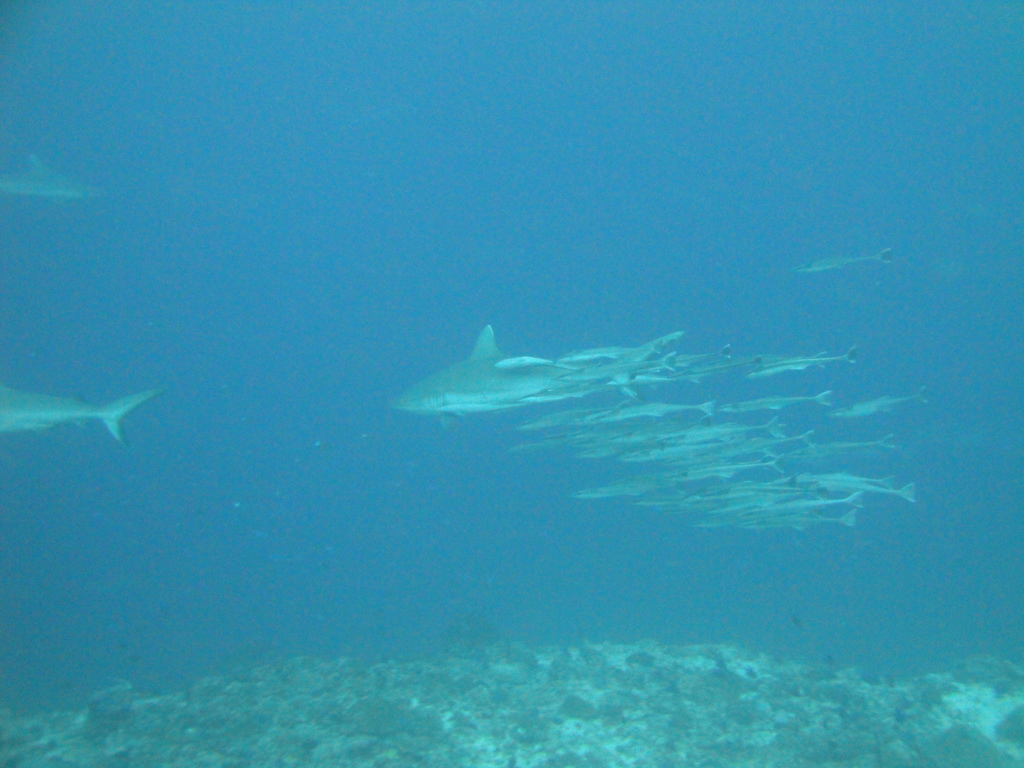 DSC01657.JPG