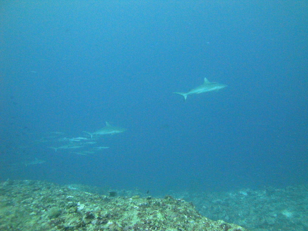 DSC01659.JPG
