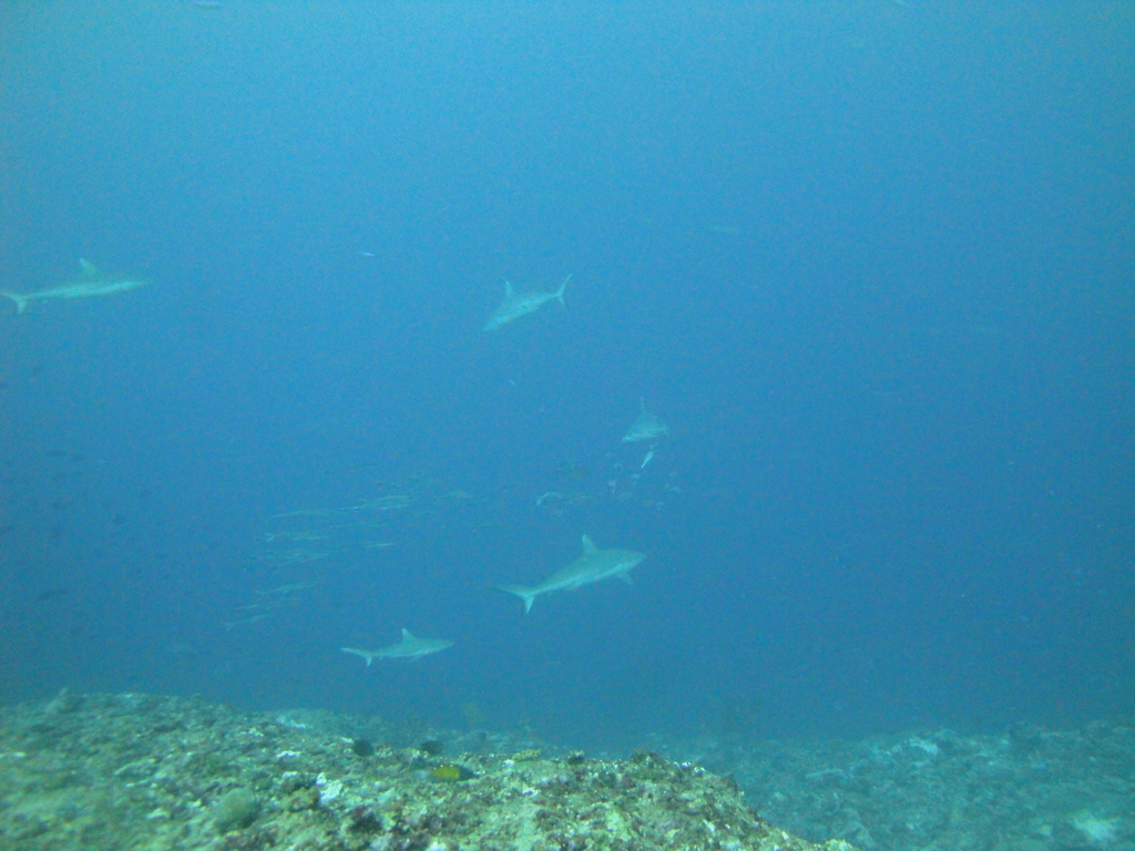 DSC01662.JPG