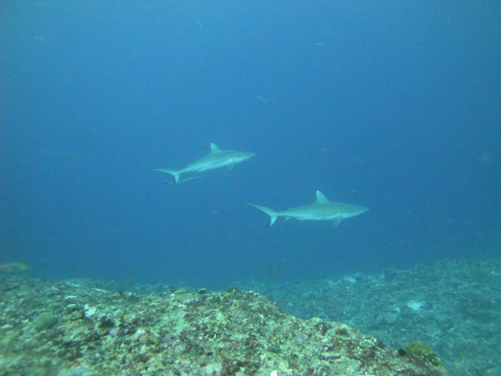 DSC01663.JPG