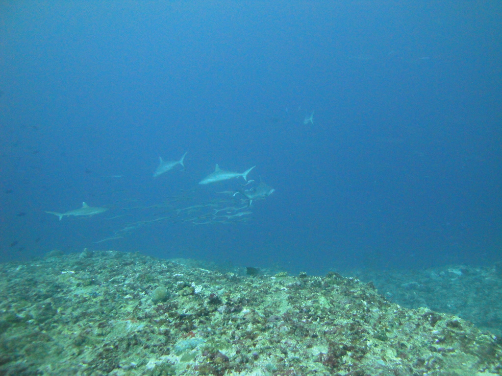 DSC01673.JPG