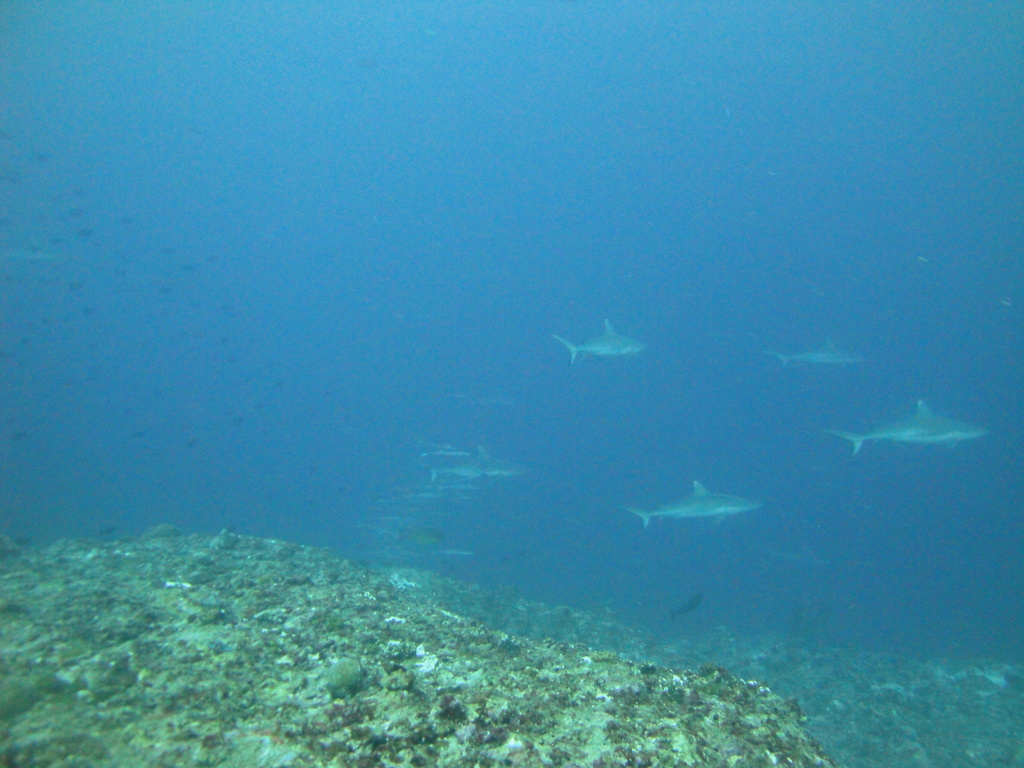 DSC01682.JPG
