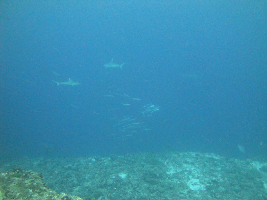 DSC01709.JPG