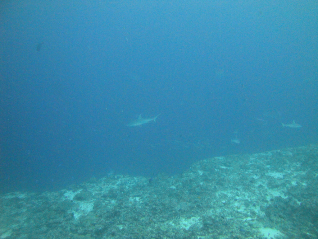 DSC01712.JPG