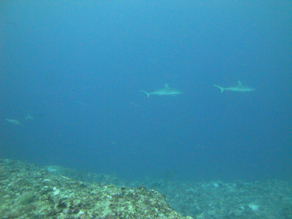 DSC01714.JPG
