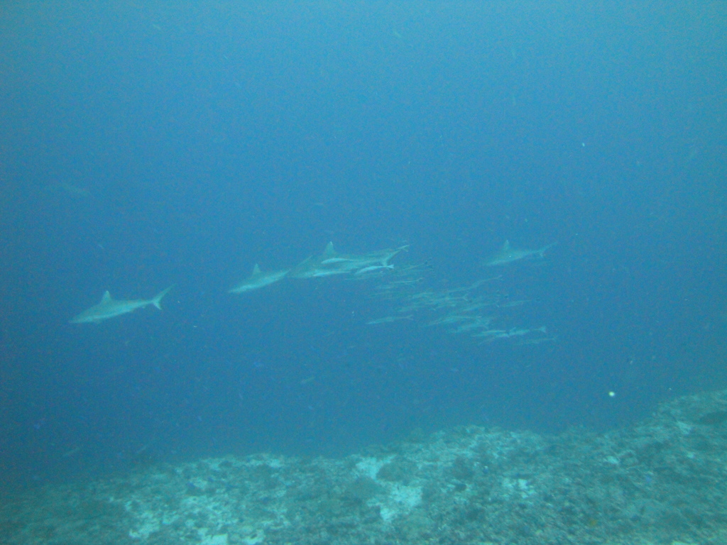 DSC01725.JPG