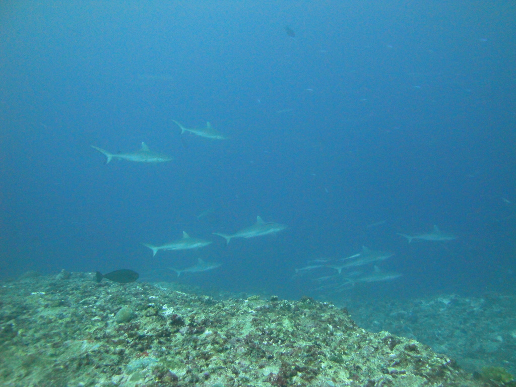 DSC01728.JPG