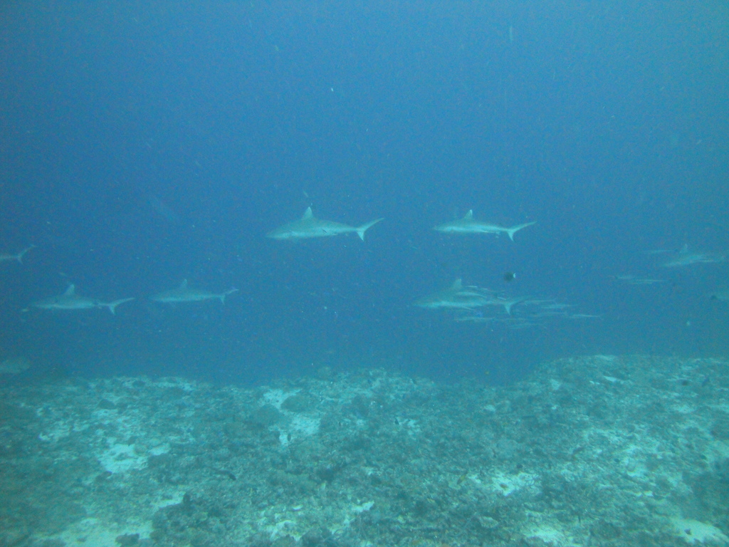 DSC01751.JPG