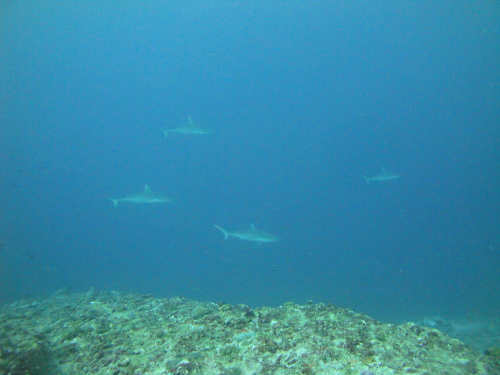 DSC01754.JPG