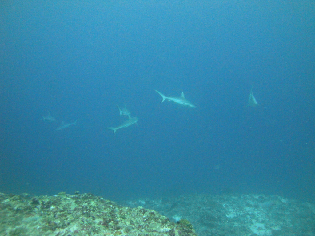 DSC01755.JPG