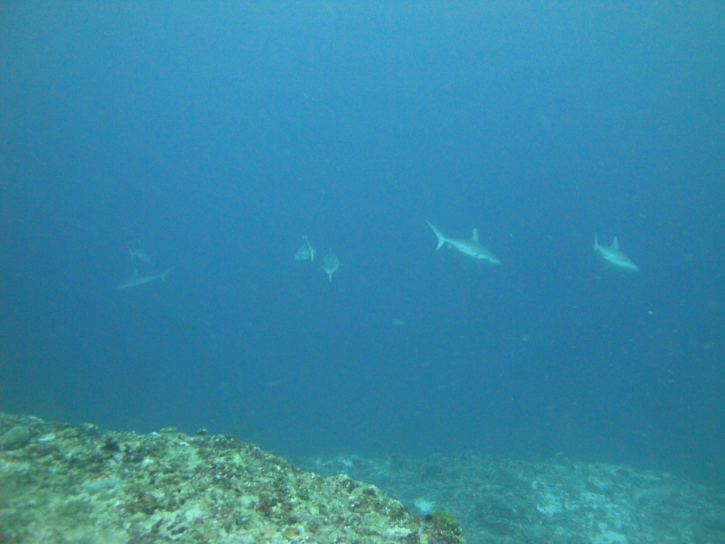 DSC01756.JPG