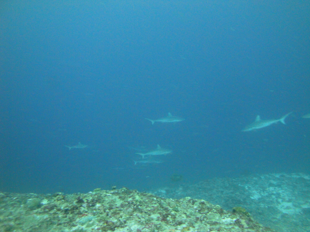 DSC01760.JPG