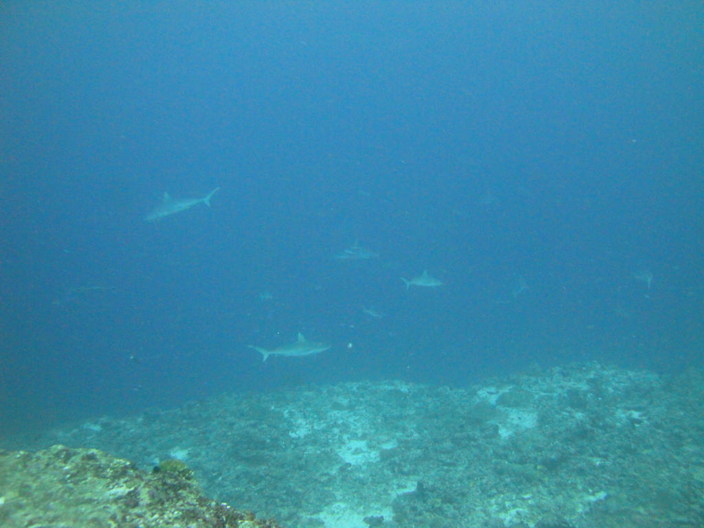 DSC01761.JPG