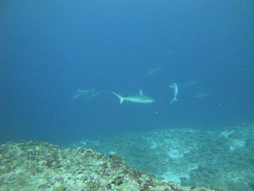 DSC01763.JPG