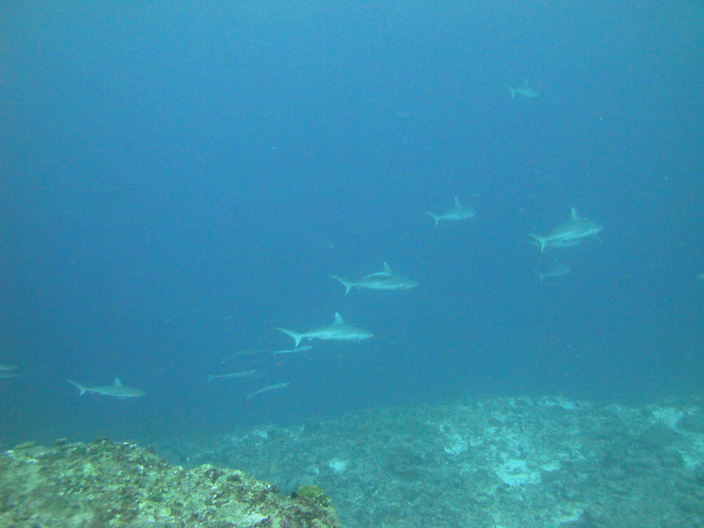 DSC01772.JPG