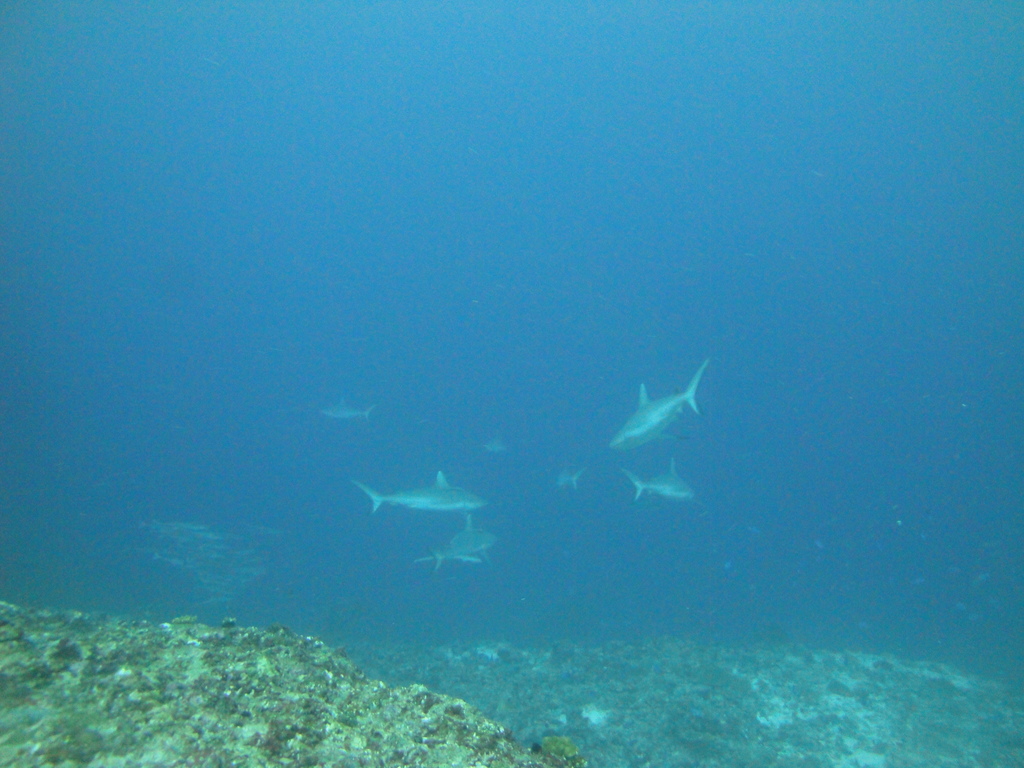 DSC01776.JPG