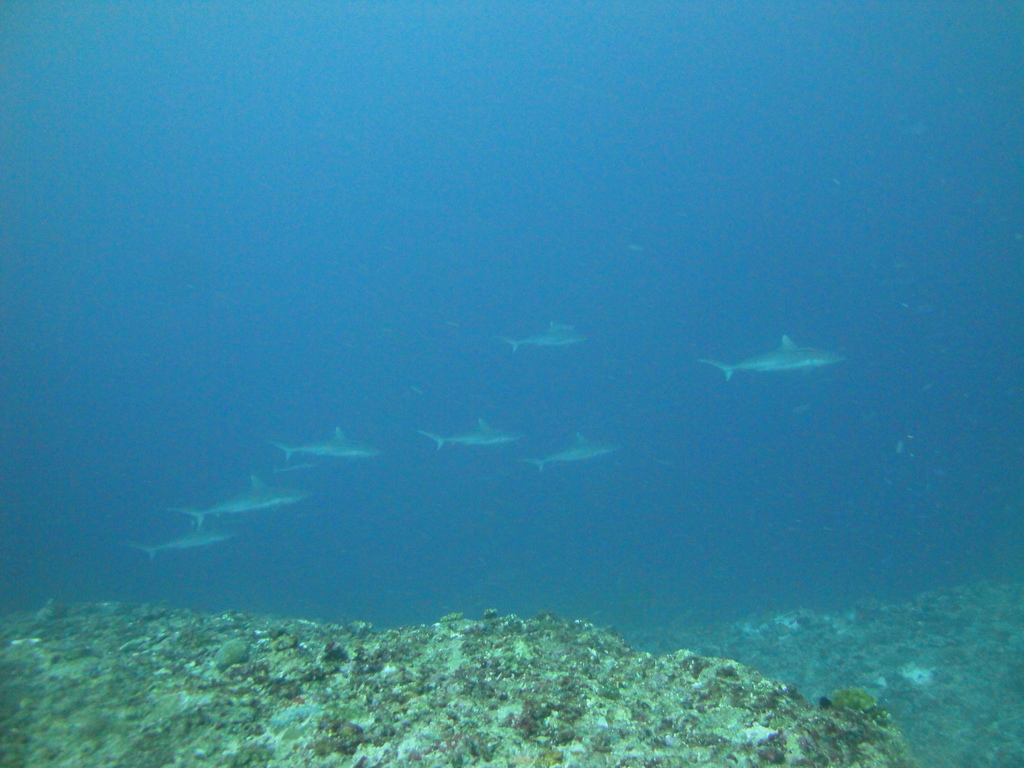 DSC01777.JPG