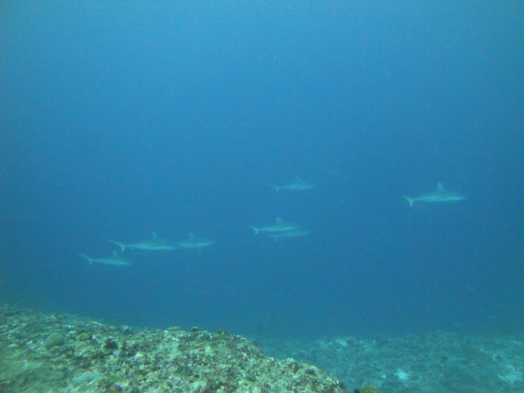 DSC01782.JPG