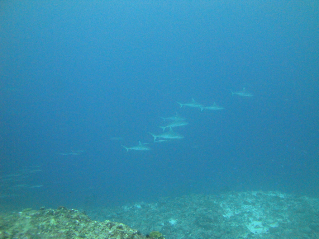 DSC01785.JPG