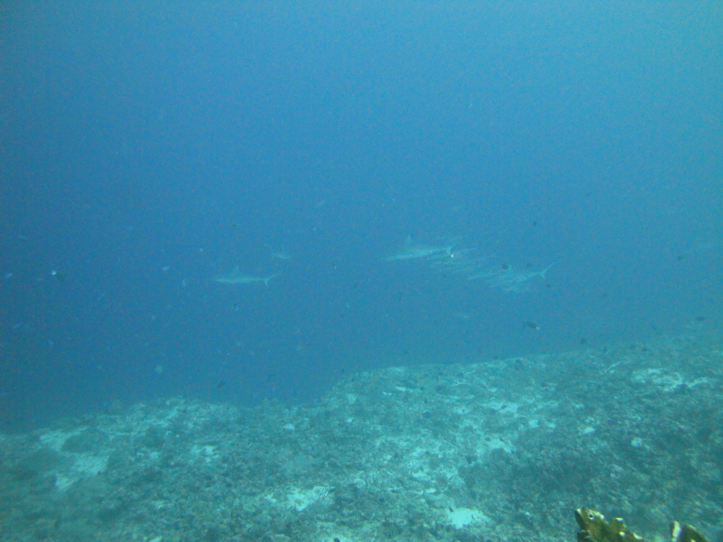 DSC01791.JPG