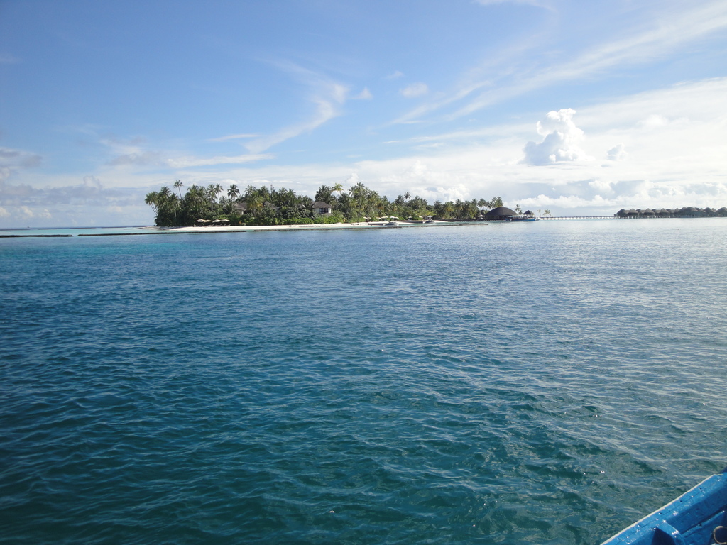 DSC01834.JPG