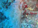 Filename=DSC00030.JPG
Filesize=504KiB
Dimensions=2048x1536
Date added=Dec 26, 2014 DSC00030.JPG