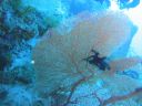 Filename=DSC00035.JPG
Filesize=412KiB
Dimensions=1024x768
Date added=Dec 26, 2014 DSC00035.JPG